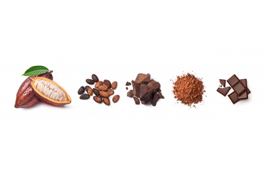 Cacao срещу Cocoa: Каква е разликата?