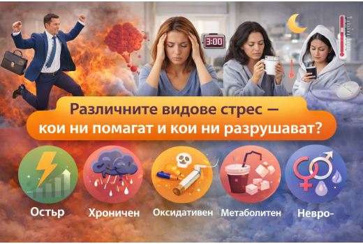 Различните видове стрес – кои ни помагат и кои ни разрушават?